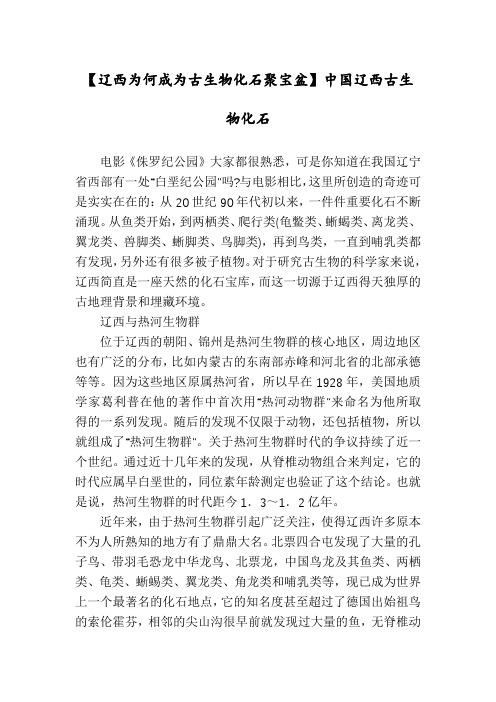 【辽西为何成为古生物化石聚宝盆】中国辽西古生物化石