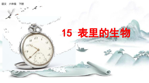 《表里的生物》PPT演示课件