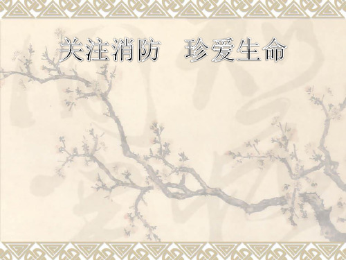 关注消防 关爱生命 主题的学习班会.ppt