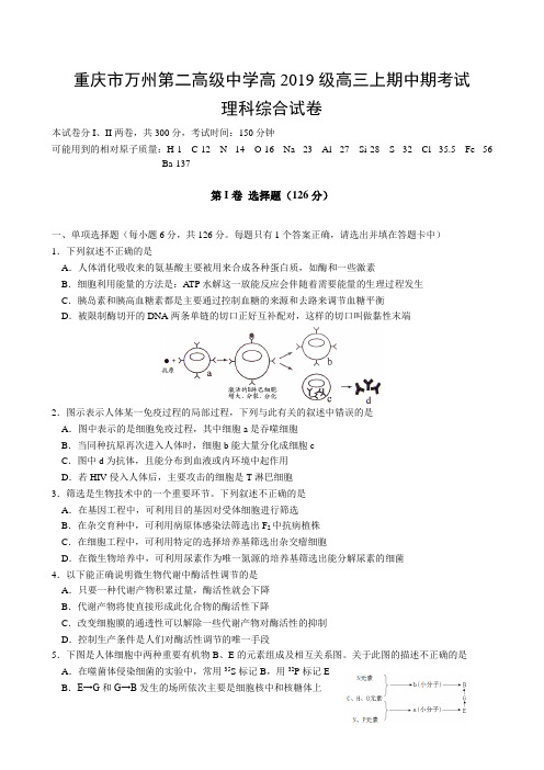重庆市万州第二高级中学高2019级高三上期中期考试理科综合试卷