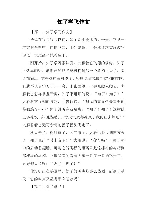 知了学飞作文