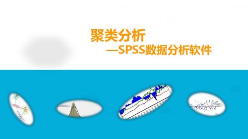 SPSS软件之聚类分析