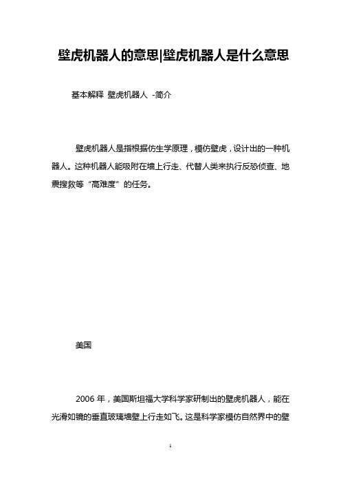 壁虎机器人的意思-壁虎机器人是什么意思 