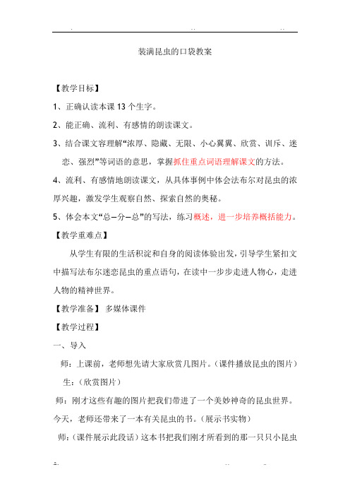 装满昆虫的口袋教案