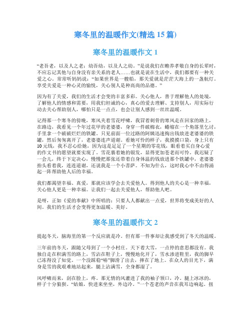 寒冬里的温暖作文(精选15篇)