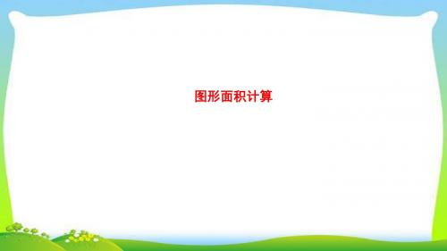中考数学突破总复习专题图形面积计算完美