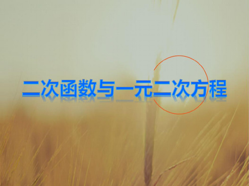 初三数学最新课件-二次函数和一元二次方程 精品