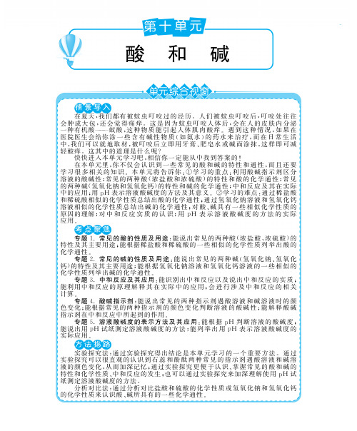 九年级化学下册 第十单元 课题1常见的酸和碱深度解析
