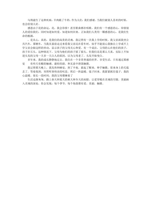 爱是无声的语言