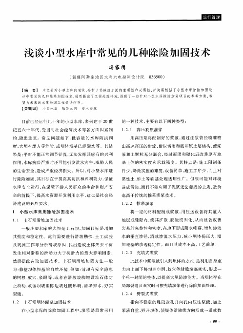 浅谈小型水库中常见的几种除险加固技术