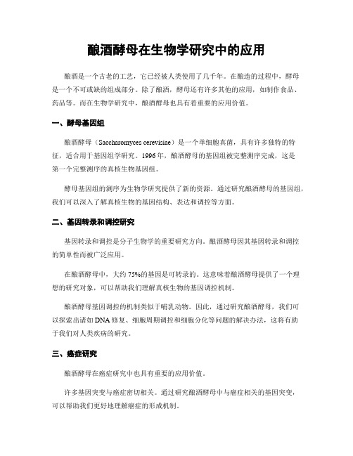 酿酒酵母在生物学研究中的应用