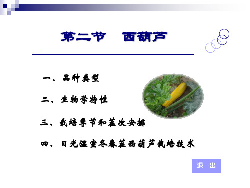 蔬菜学