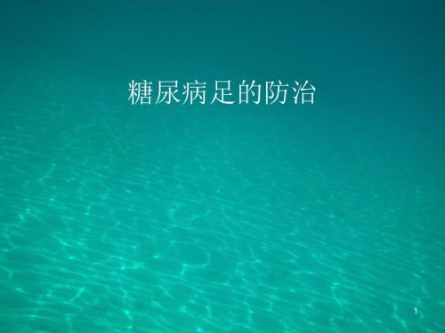 糖尿病足医学PPT课件