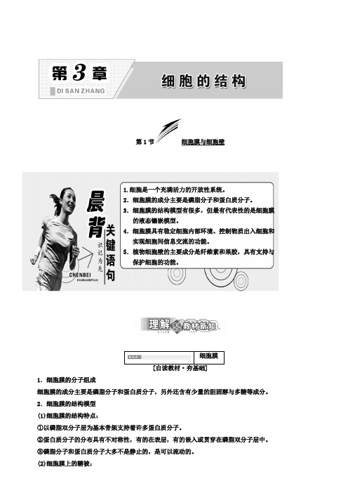 2018-2019学年高中生物北师大版必修一教学案：第3章 第1节 细胞膜与细胞壁 Word版含答案-