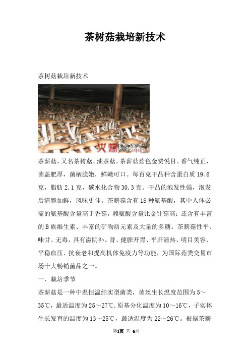 茶树菇栽培新技术