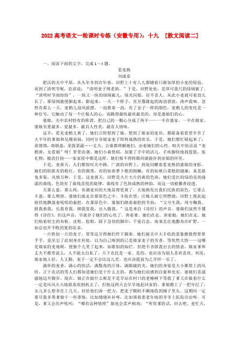 2022高考语文一轮 课时专练(十九) 散文阅读二 新人教版