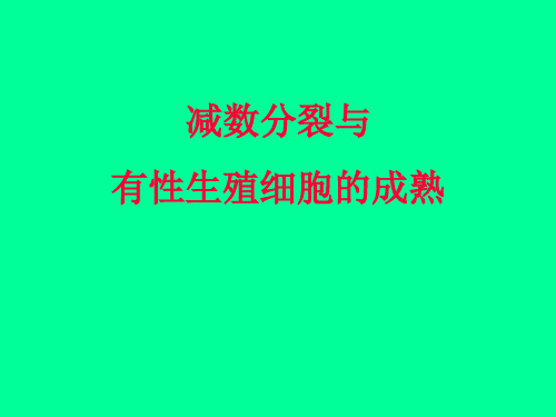 人教版教学课件陕西省安康市汉滨高级中学高二生物《减数分裂与有性生殖细胞的成熟》课件