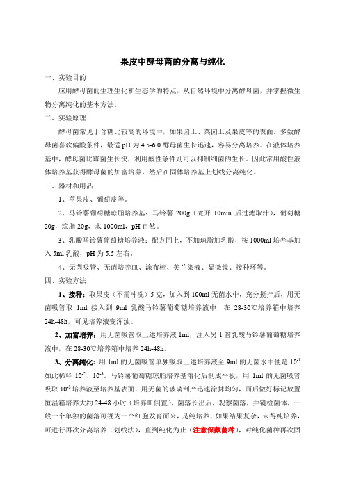 果皮中酵母菌的分离与纯化 - 副本