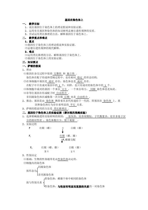 基因在染色体上学案