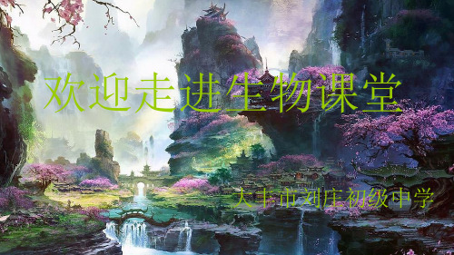 第一节人体泌尿系统的组成课件初中生物苏教版七年级下册26896