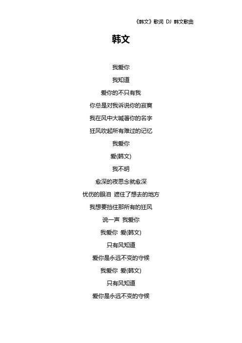 《韩文》歌词 DJ 韩文歌曲
