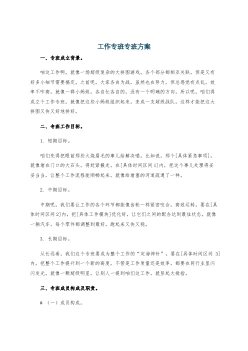 工作专班专班方案