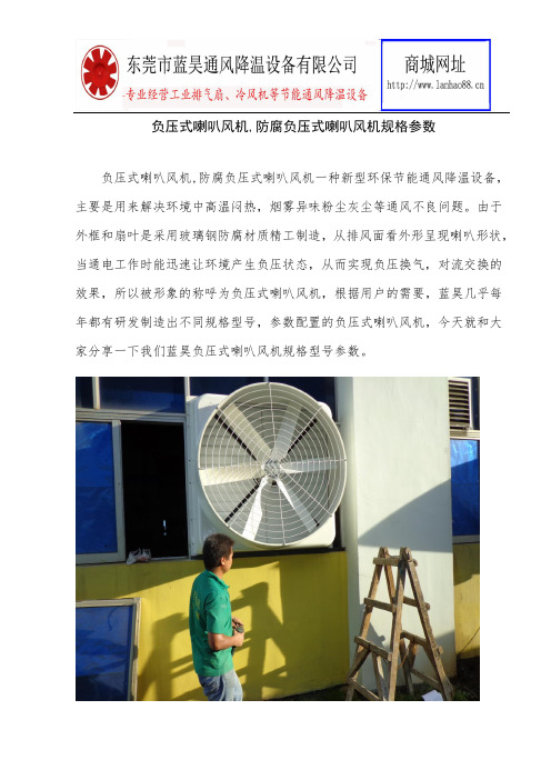 负压式喇叭风机,防腐负压式喇叭风机规格参数