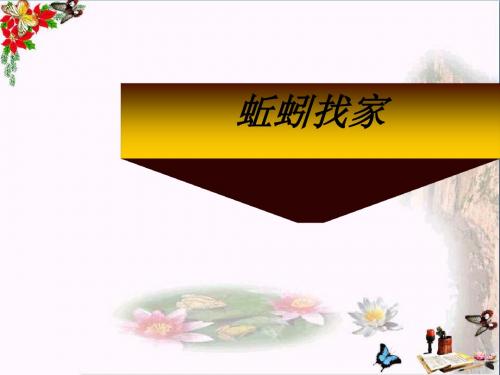 六年级科学上册蚯蚓找家ppt课件1青岛版