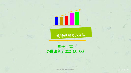 统计学专业课程调查报告课件