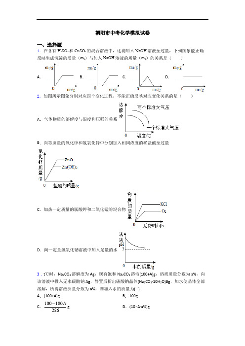 朝阳市中考化学模拟试卷