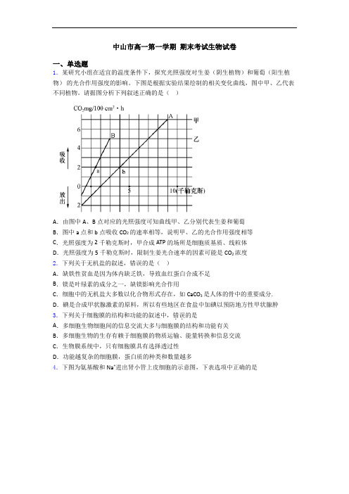 中山市高一第一学期 期末考试生物试卷