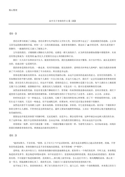 高中关于青春的作文【三篇】