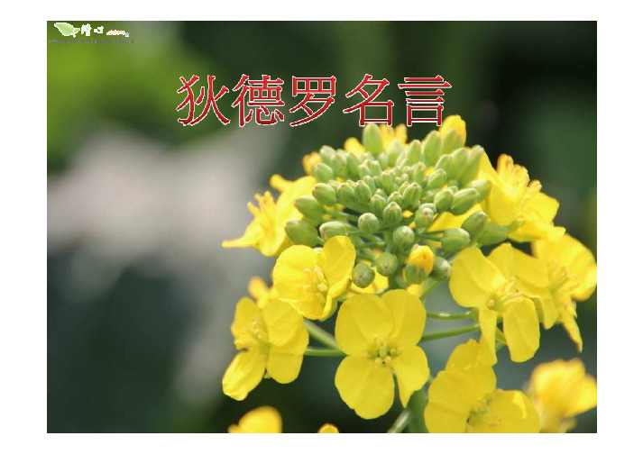 029 狄德罗名言