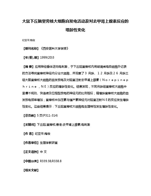 大鼠下丘脑室旁核大细胞自发电活动及对去甲肾上腺素反应的增龄性变化