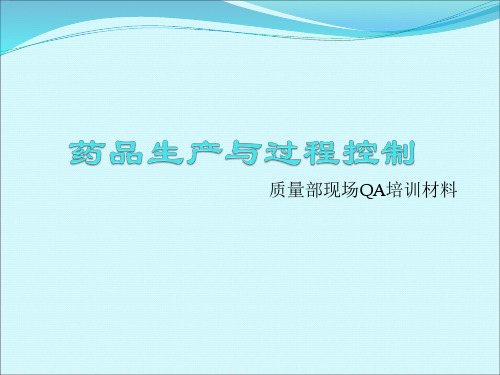 药品生产与过程控制 PPT课件