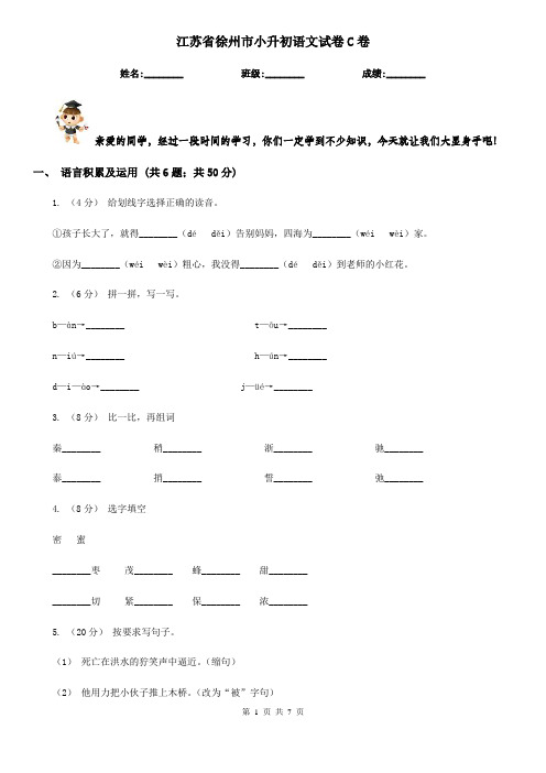 江苏省徐州市小升初语文试卷C卷