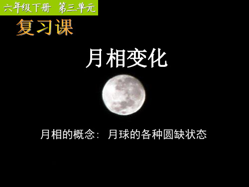 六年级下册科学第三四单元