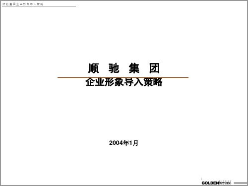 顺驰集团形象导入策略