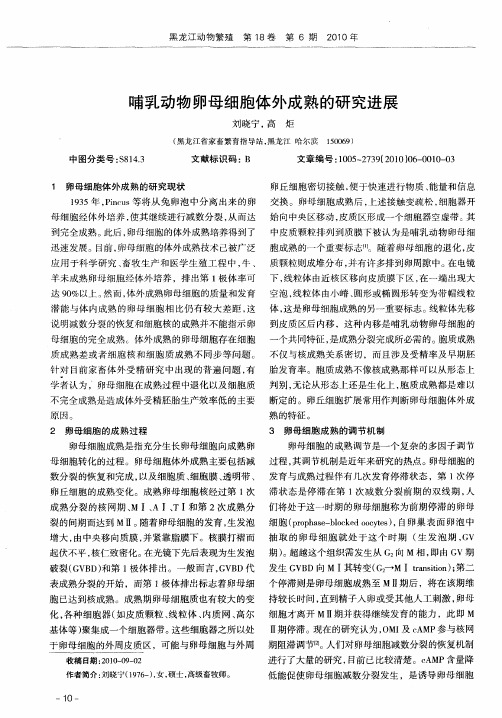 哺乳动物卵母细胞体外成熟的研究进展