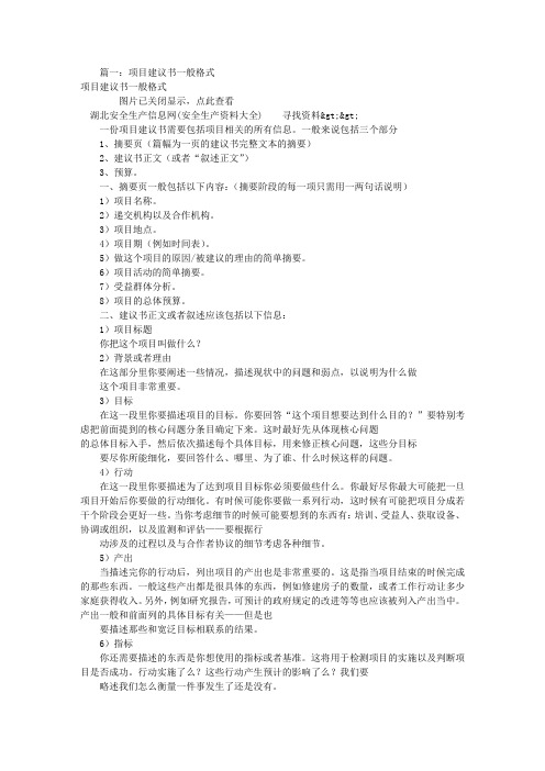 项目建议书的格式(共4篇)
