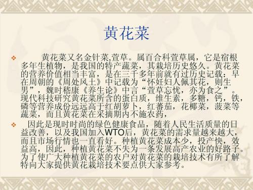 黄花菜