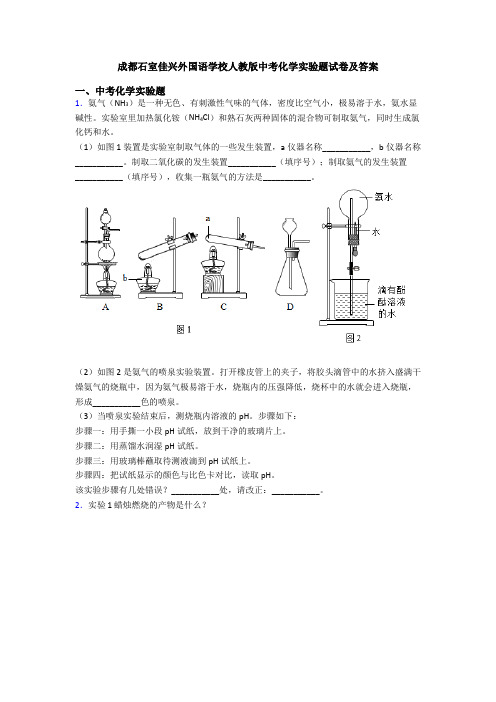 成都石室佳兴外国语学校人教版中考化学实验题试卷及答案