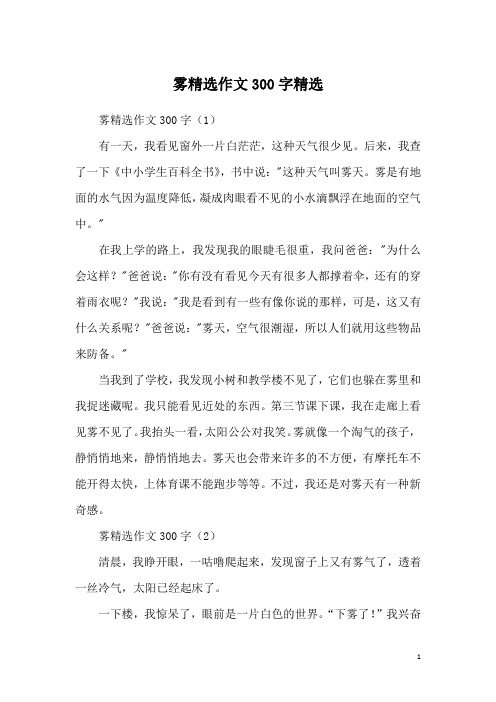雾精选作文300字精选