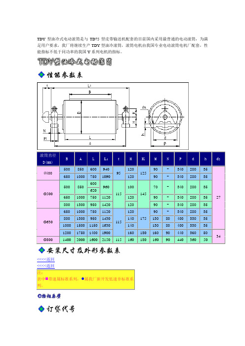 TDY型油冷式电动滚筒