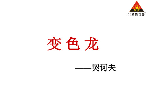 变色龙(完美版)ppt