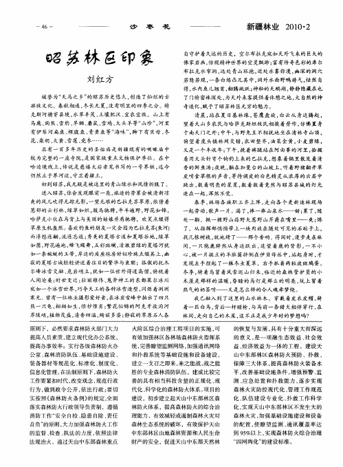 昭苏林区印象