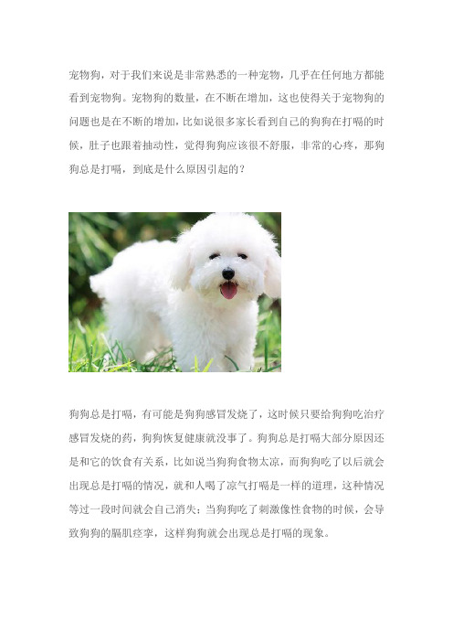 狗狗总是打嗝是什么原因怎么治