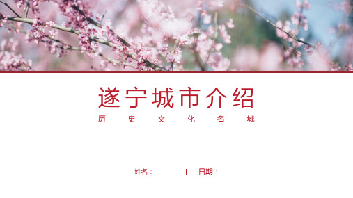 遂宁介绍-遂宁简介PPT(经典版)