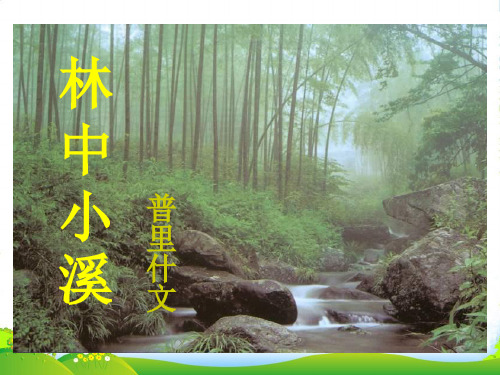 苏教九年级语文上学期《林中小溪》课件