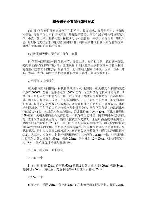 朝天椒无公害间作套种技术